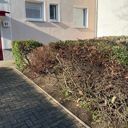 Mycha Ferienwohnung Goslar Eksteriør bilde